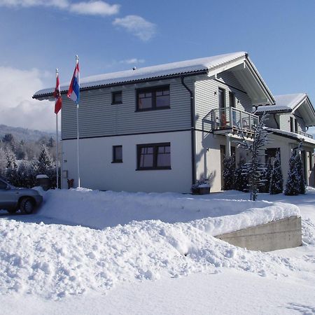 Apartments Waldemar Saalfelden Exterior photo